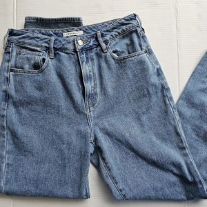 Pacsun Mom Jeans size 29